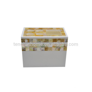 CGM-TS Golden Mother of Pearl Shell yellow shell Toothbrush Holder